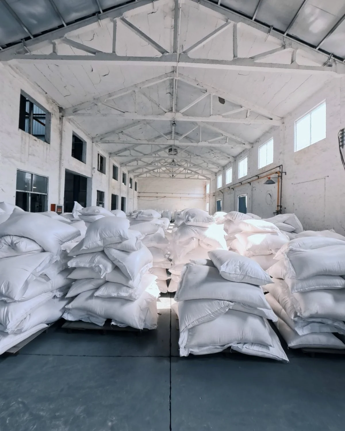 Chang Chong warehouse with palletized bulk bags ready for shipment