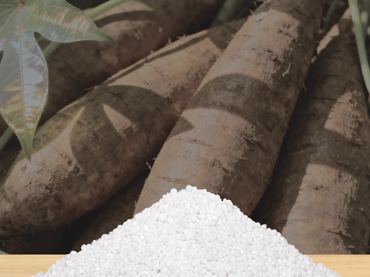 Cassava cat litter granules with fresh cassava roots