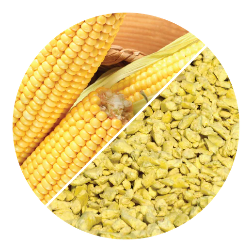 Corn cobs and corn cat litter granules